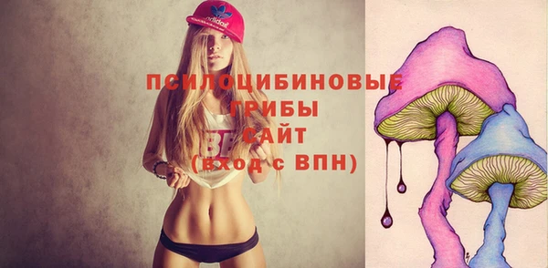 mdpv Инсар